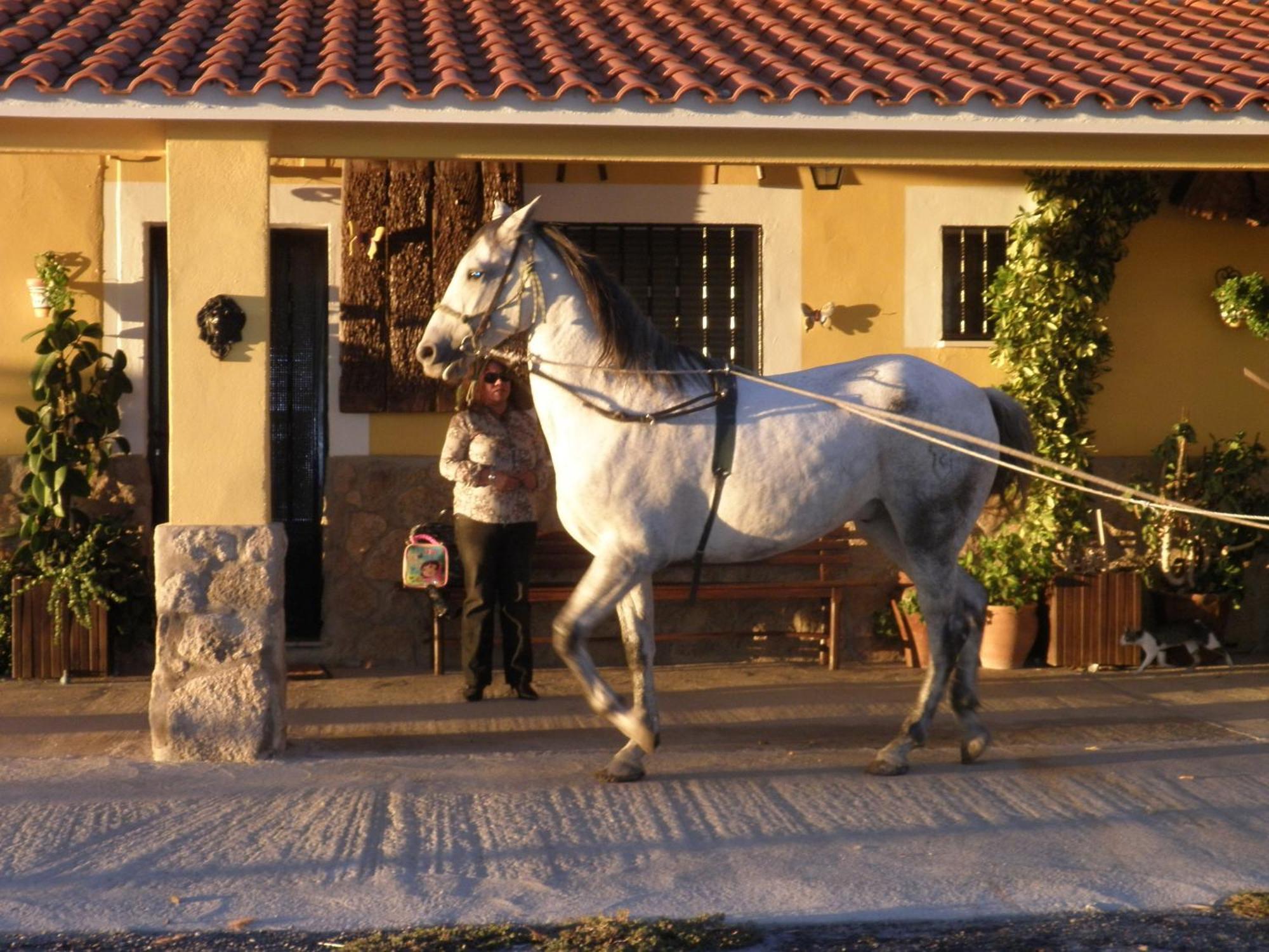 La Posada Hipica Rosalejo  Ngoại thất bức ảnh