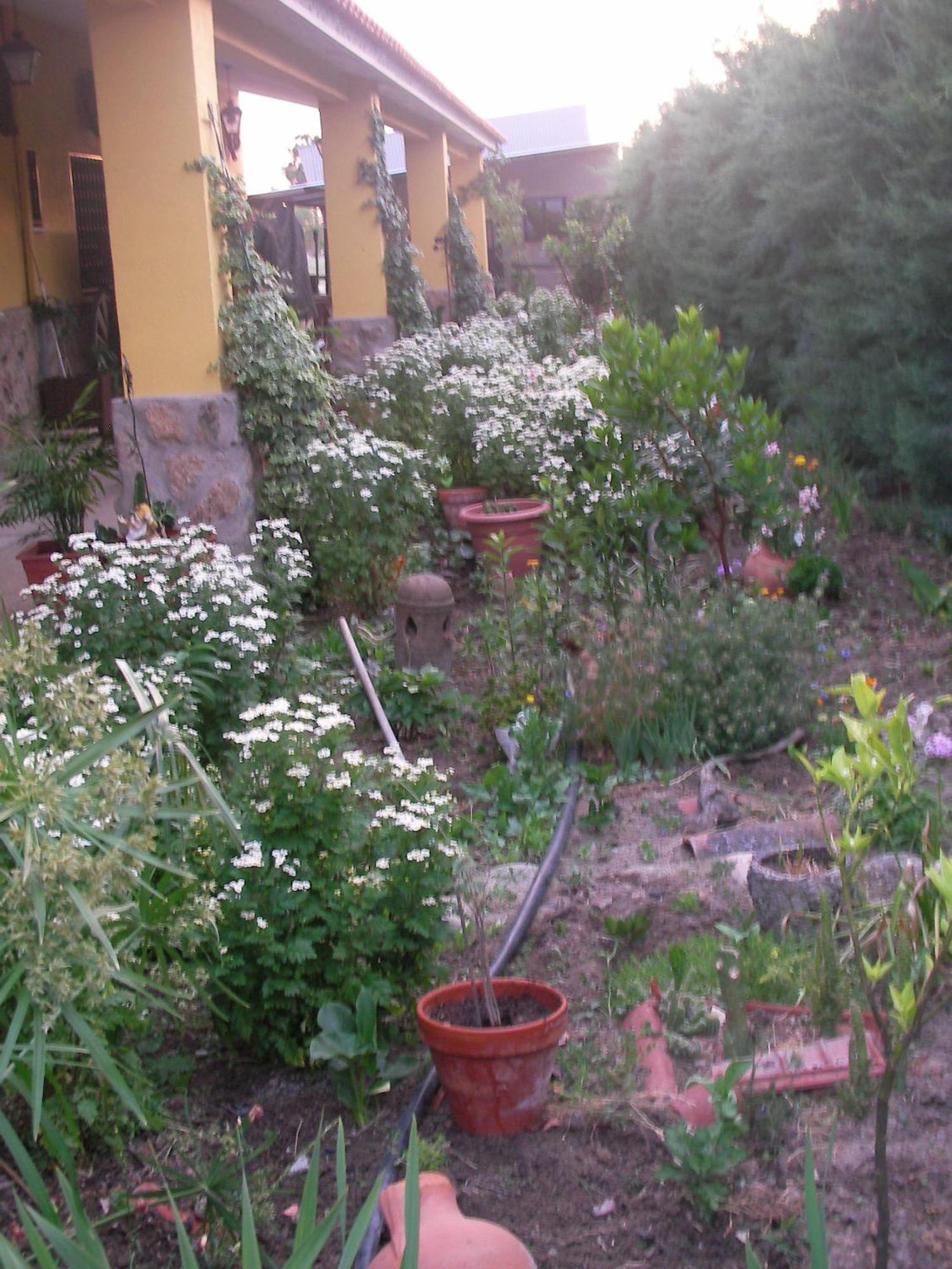 La Posada Hipica Rosalejo  Ngoại thất bức ảnh