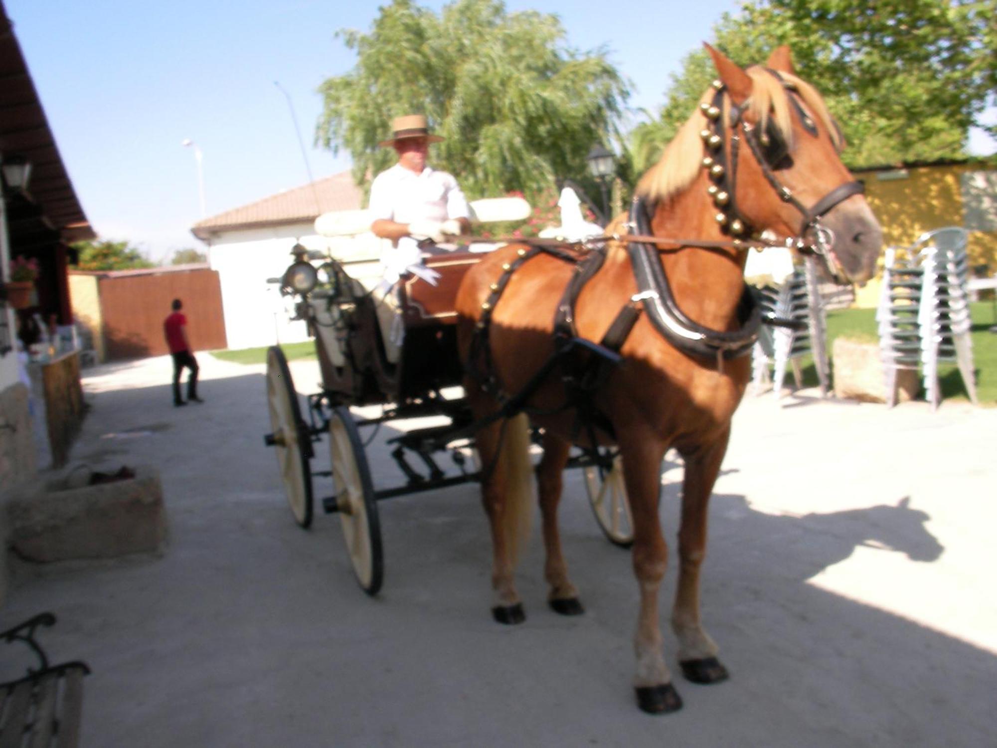 La Posada Hipica Rosalejo  Ngoại thất bức ảnh