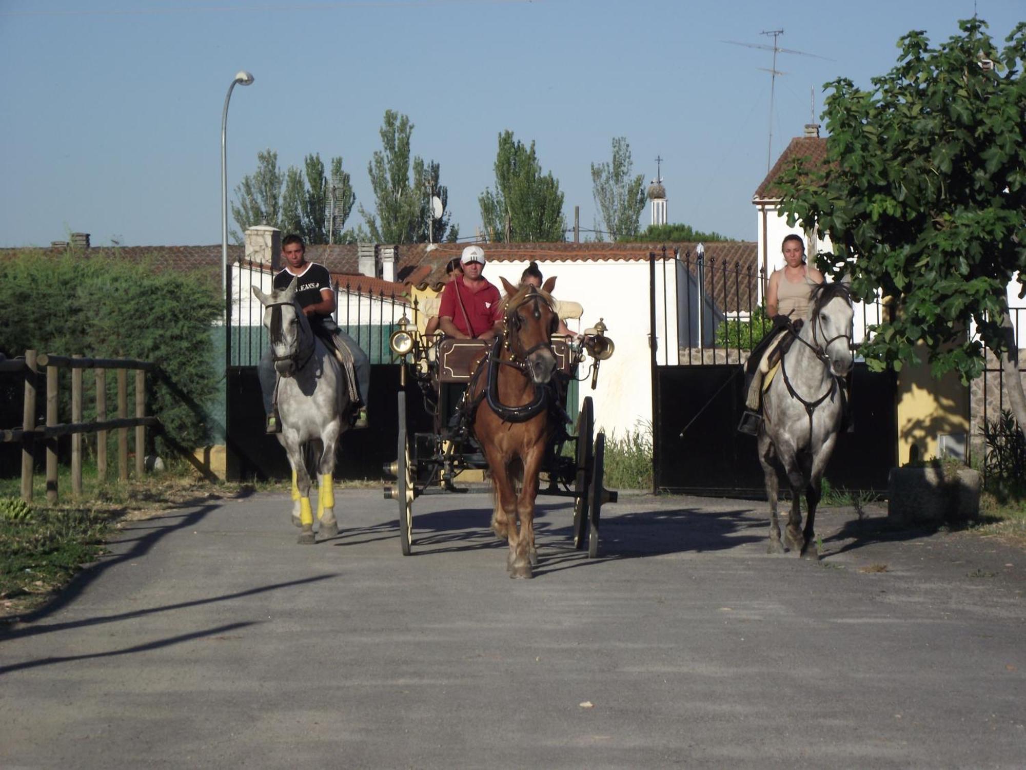 La Posada Hipica Rosalejo  Ngoại thất bức ảnh