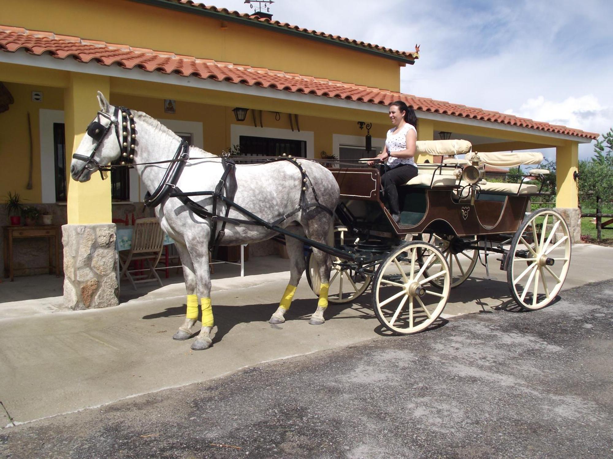 La Posada Hipica Rosalejo  Ngoại thất bức ảnh