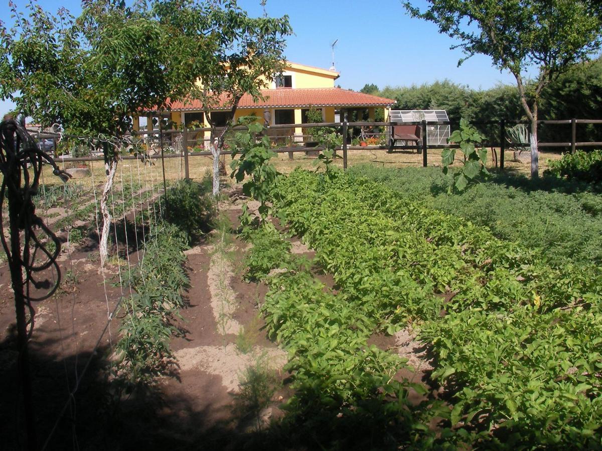 La Posada Hipica Rosalejo  Ngoại thất bức ảnh